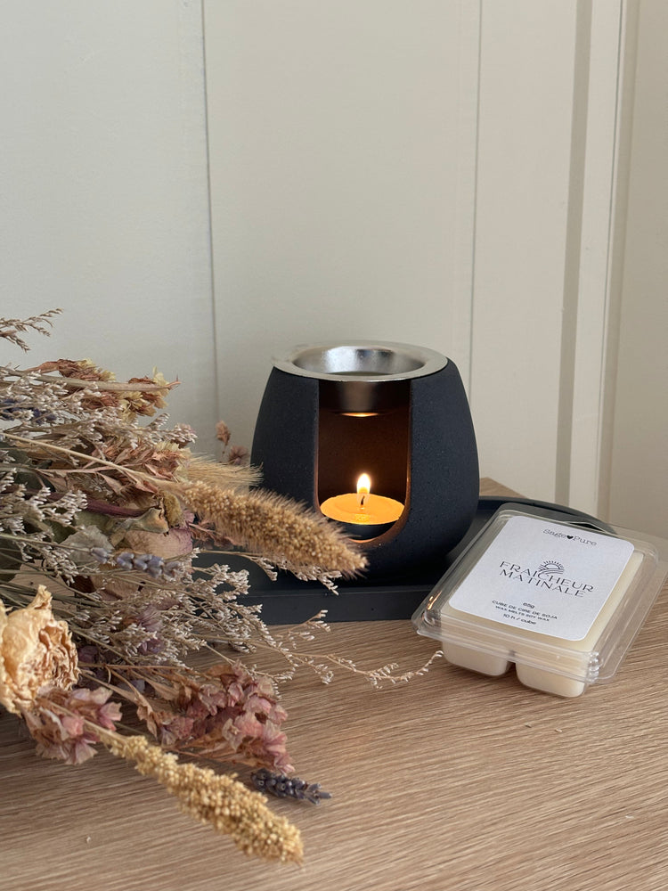 Diffuseurs et cubes de cire