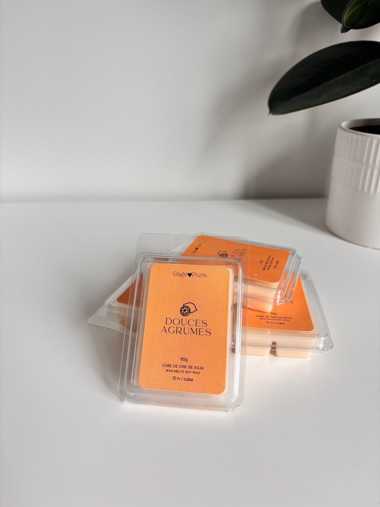 Cubes de cire
